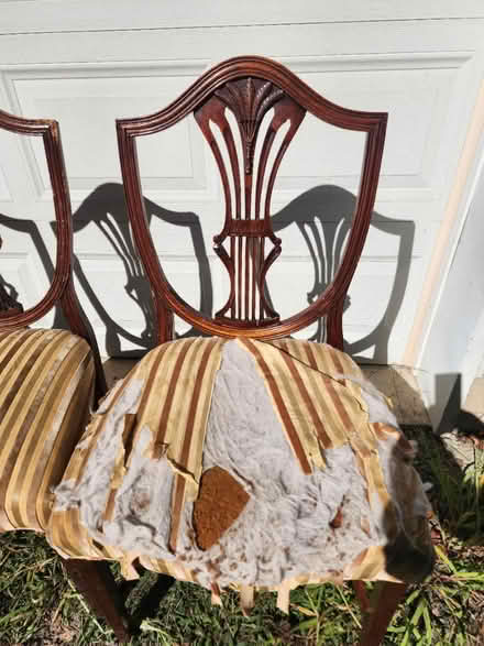 Photo of free Dining room chairs (Hopewell) #4