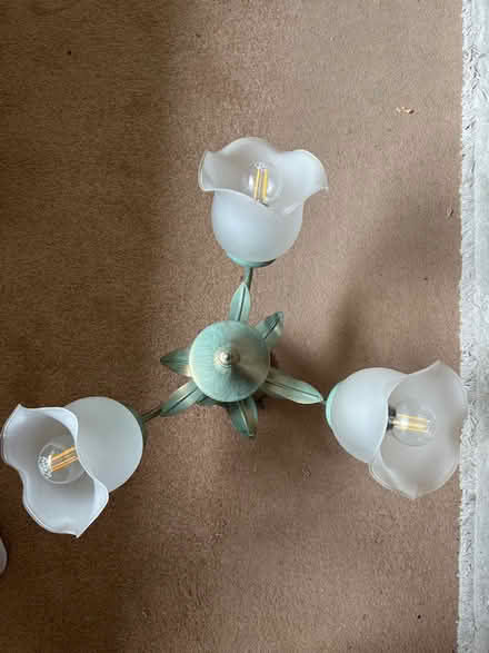 Photo of free Wall & centre lights (GU22) #4