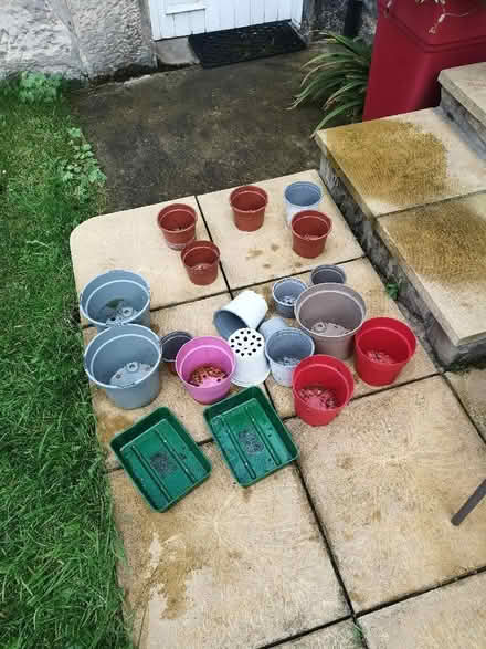 Photo of free Plastic pots, trays (Joppa EH15) #1