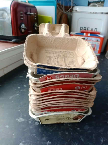 Photo of free 16 egg boxes (St Leonards Green TN38) #1