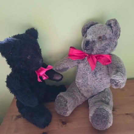 Photo of free 2 teddy bears (Clive Vale TN35) #2