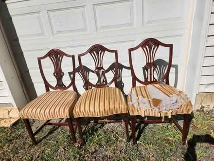 Photo of free Dining room chairs (Hopewell) #1
