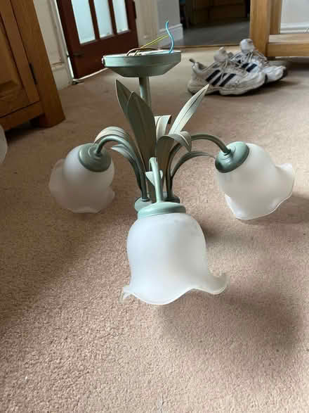 Photo of free Wall & centre lights (GU22) #1