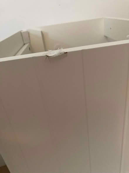 Photo of free Wooden bathroom sink cabinet (Bloomfield) #3