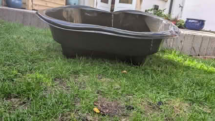 Photo of free Small pond (Henleaze BS9) #2