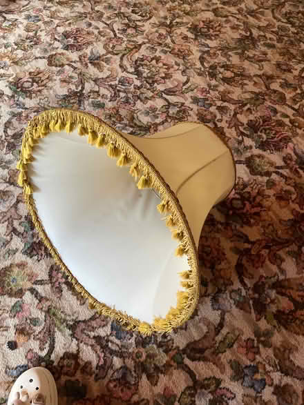 Photo of free Standard lamp with 2 shades (Heysham LA3) #4