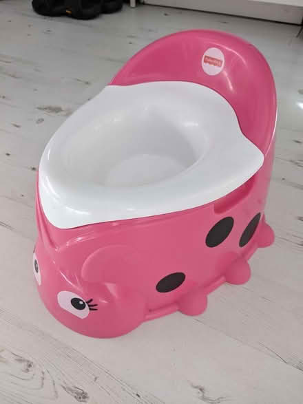Photo of free Potty (Bingley (BD16)) #1