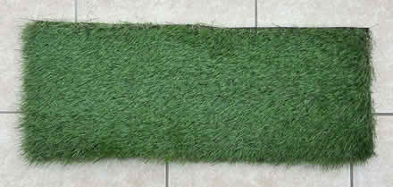Photo of free Artificial Grass (Kennington OX1) #2