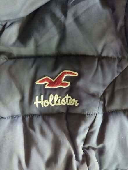 Photo of free Hollister Jacket (Dunkerton) #2