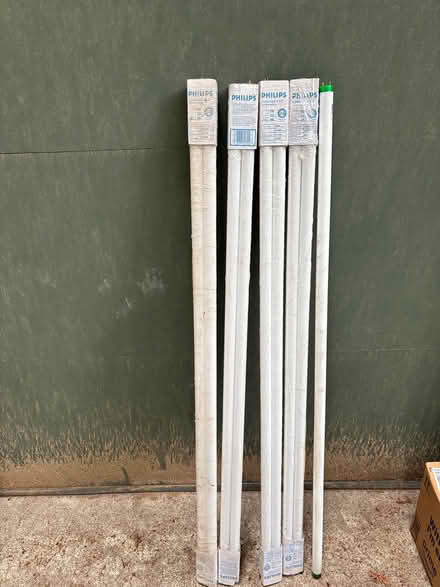 Photo of free Fluorescent light bulbs (Woodside) #2