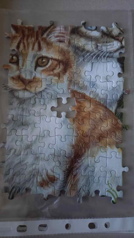 Photo of free Jigsaw puzzle for craft project (Two Waters HP3) #2