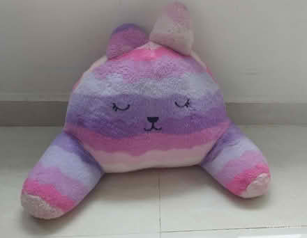 Photo of free Craftholic plushie (Tpy) #1