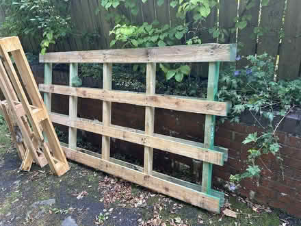 Photo of free Two pallets - one regular sized and one extra large (Norton LD8) #1