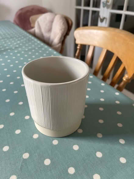 Photo of free Small Plant pot (Penrith CA11) #1