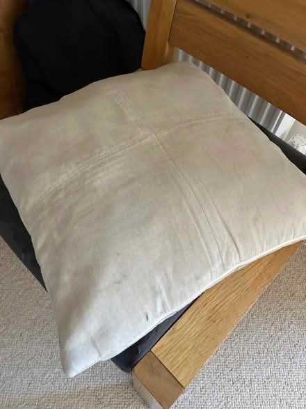 Photo of free Garden seat pads & 2 cushions (Greenbank EH10) #2