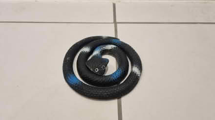 Photo of free Toy snake (Locksheath SO31) #2