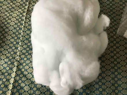 Photo of free Stuffing (Hitchin) #1