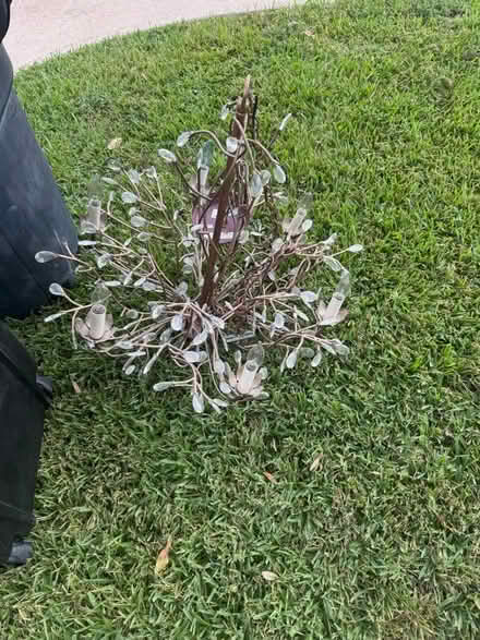 Photo of free chandelier (Eldridge North) #1