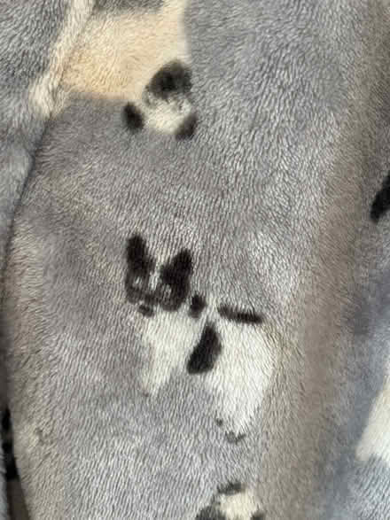 Photo of free Cozy next bathrobe size L (BN41) #3
