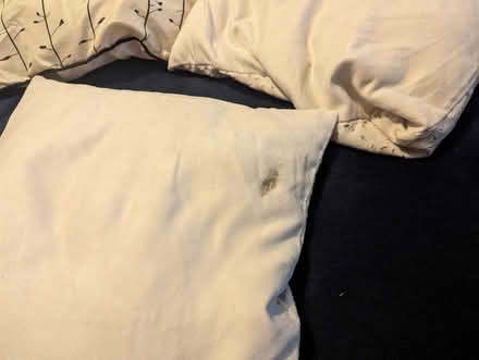 Photo of free White Cushions (M20 Withington) #4