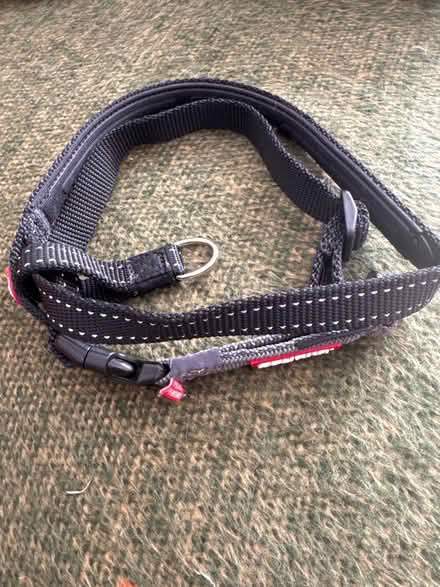 Photo of free Dog harness (Soham, CB7) #2