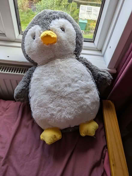 Photo of free Toy penguin (Moorfields) #1