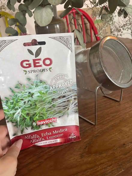 Photo of free Sprouts growing kit with jar (Clapton E5) #1