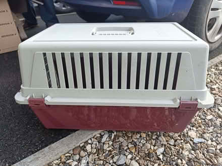 Photo of free Cat basket and litter tray (Abingdon-on-Thames OX14) #1