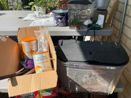 Photo of free fish tanks and supplies (Annadale) #1