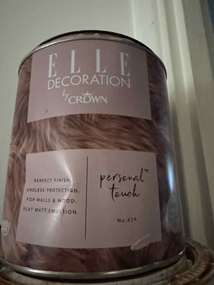 Photo of free dusty pink paint (BR5) #2