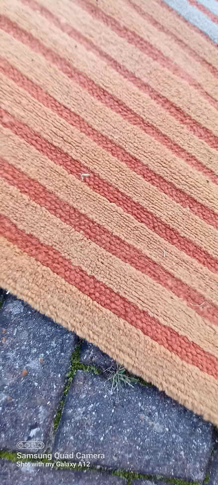 Photo of free Sunrise bedroom wool rug (Woodley RG5) #2