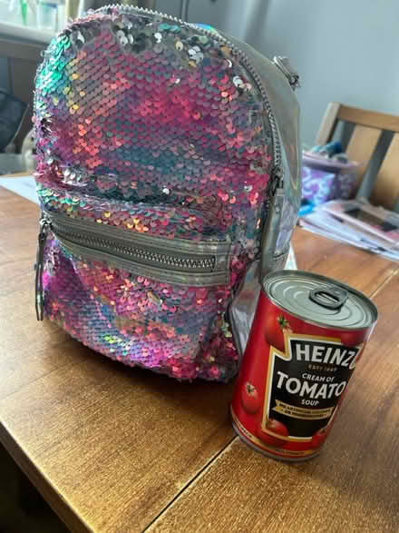 Photo of free Silver sequin rucksack (Bisley Woking GU24) #4