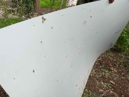 Photo of free Metal Sheet (Cannards Grave BA4) #1