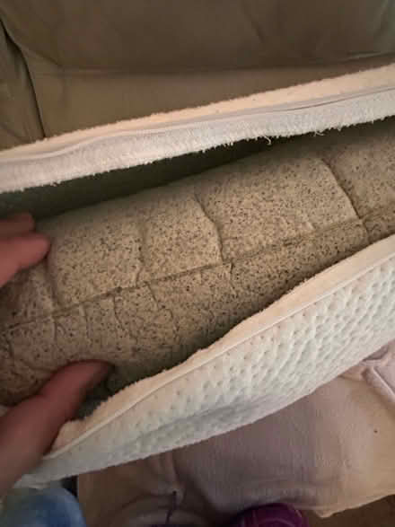 Photo of free Latex Pillow (Bromley BR2) #2