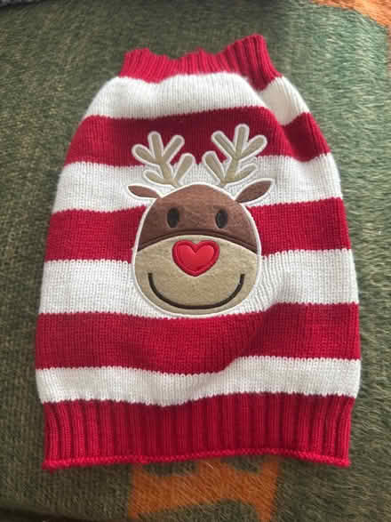 Photo of free Rudolph dog jumper (Soham, CB7) #1