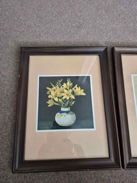 Photo of free 2 Vintage prints of flowers (Penrith CA11) #2