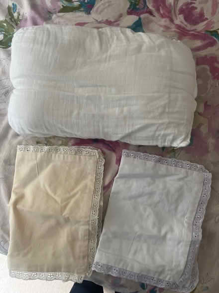 Photo of free Small pillow with 2 pillowcases (Kidbrooke, SE3) #1
