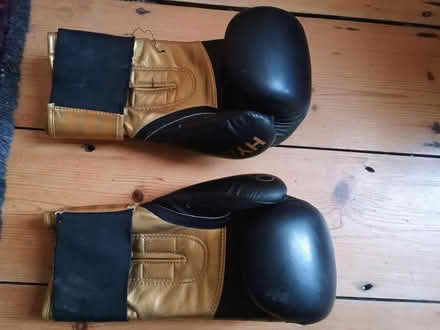 Photo of free Boxing gloves (Devon Park) #1