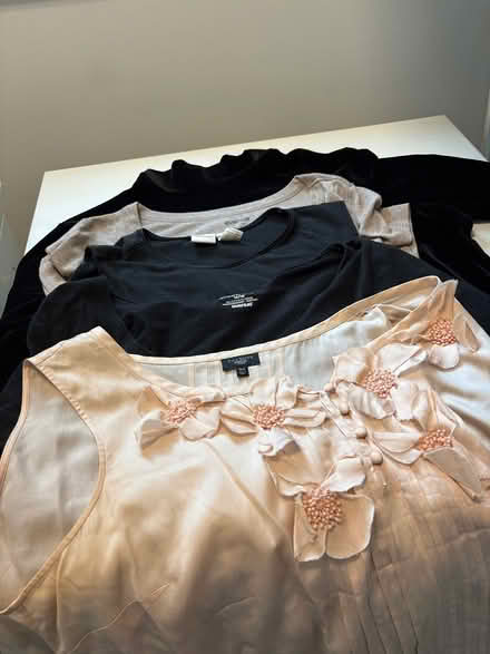 Photo of free Ladies blouses (Oak Ridge) #1