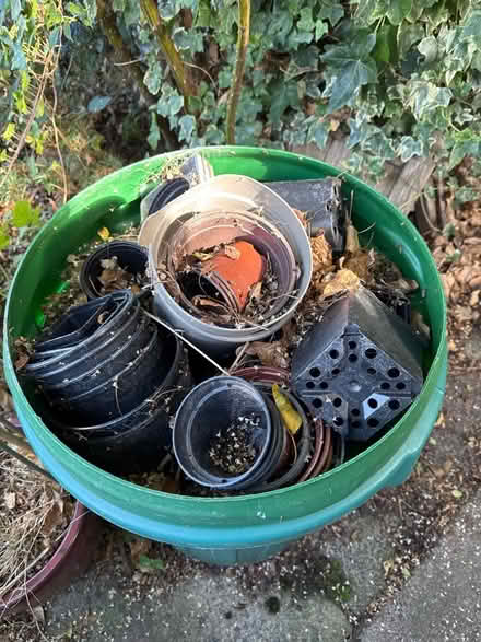 Photo of free Plastic plant pots (Brimington S43) #1