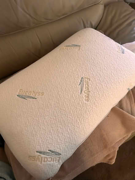 Photo of free Latex Pillow (Bromley BR2) #1