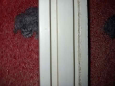 Photo of free Curtain rail (Bevendean BN2) #4