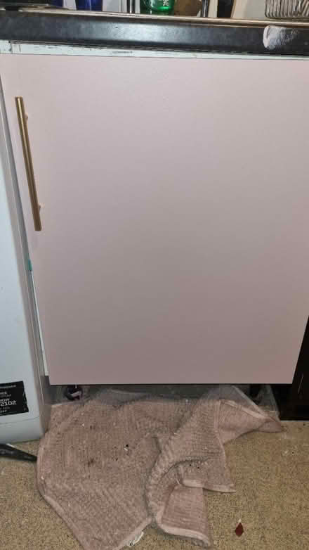 Photo of free dusty pink paint (BR5) #3