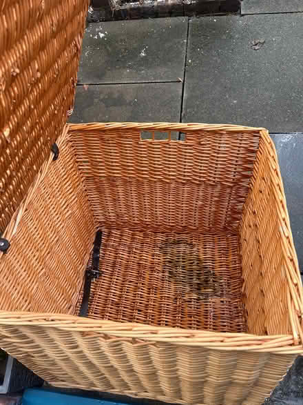 Photo of free XL hamper (Dulwich) #2