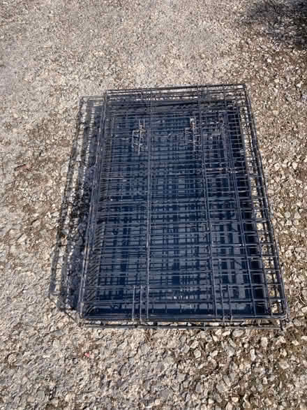 Photo of free Dog crate (Kingsway) #1