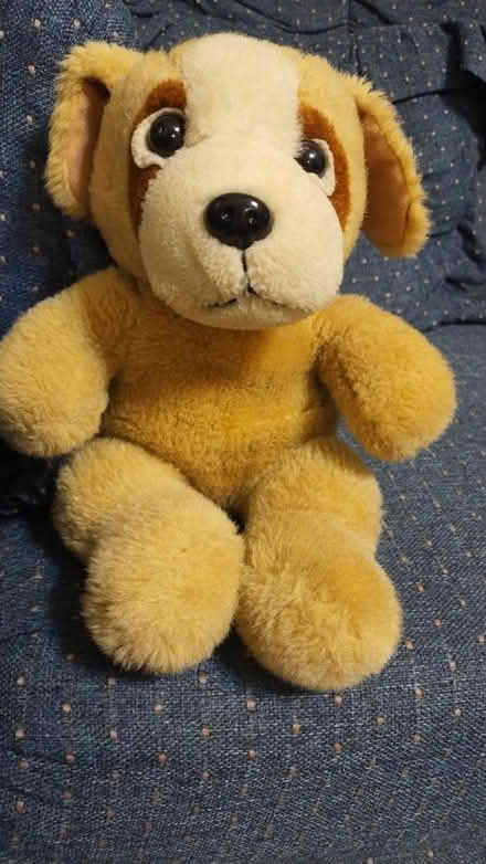 Photo of free Stuffed dog (Allen) #1