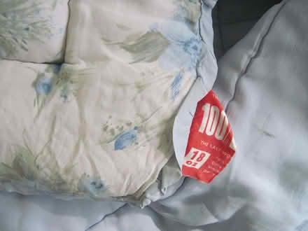 Photo of free vintage nylon quilt (Cambuskenneth FK9) #2