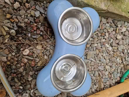 Photo of free Bone shaped dog bowl holder (Fromefield BA11) #1