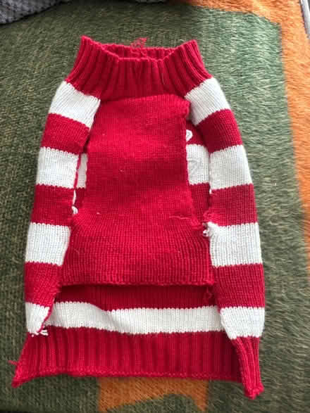 Photo of free Rudolph dog jumper (Soham, CB7) #2