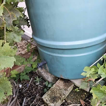 Photo of free Water collecter (Langley) #1